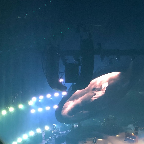 SHOP ON HOLD - Picture 1 of 1